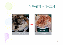 방사선 조사 식품-17