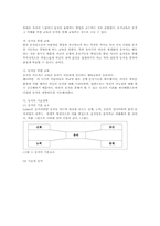 유아동작교육의 중요성과 유아동작교육의 운영 및 교사의 역할00-7