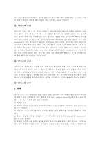 [테니스][테니스경기]테니스의 경기개요, 테니스의 기원, 테니스의 보급, 테니스의 용구와 테니스의 경기 전술, 테니스의 경기 기술 및 테니스의 운동프로그램 그리고 테니스가 주는 시사점 심층 분석-4