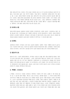 [테니스][테니스경기]테니스의 경기개요, 테니스의 기원, 테니스의 보급, 테니스의 용구와 테니스의 경기 전술, 테니스의 경기 기술 및 테니스의 운동프로그램 그리고 테니스가 주는 시사점 심층 분석-7