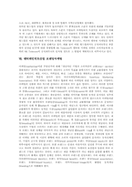[엔터테인먼트마케팅][엔터테인먼트산업]엔터테인먼트마케팅 특성, 엔터테인먼트마케팅 성공요인과 엔터테인먼트산업 광고마케팅, 엔터테인먼트산업 PPL마케팅(제품간접광고), 엔터테인먼트산업 엠부쉬마케팅(엠부시마케팅), 엔터테인먼트산업 브랜딩마케팅-9
