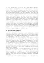 [귄터 그라스][양철북]귄터 그라스 소설 양철북의 배경, 귄터 그라스 소설 양철북의 연구사례, 귄터 그라스 소설 양철북의 자서전형식과 소시민알레고리, 귄터 그라스 소설 양철북의 언어기교, 귄터 그라스 소설 양철북의 감상 분석-8