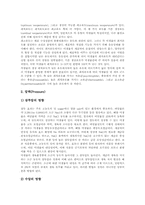 [곰팡이의 종류][곰팡이의 형태][곰팡이의 생장환경][곰팡이의 생식][곰팡이의 식품오염][곰팡이의 평가]곰팡이의 종류, 곰팡이의 형태, 곰팡이의 생장환경, 곰팡이의 생식, 곰팡이의 식품오염, 곰팡이의 평가 고찰-5