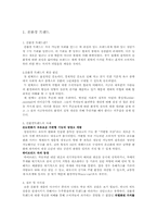 [해외시장조사론] 히팅 마스카라와 2인용 포대기 해외시장 진출 전략 분석-2