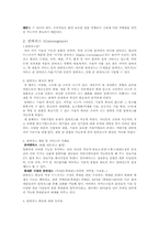 [해외시장조사론] 히팅 마스카라와 2인용 포대기 해외시장 진출 전략 분석-3