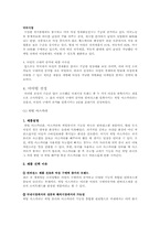 [해외시장조사론] 히팅 마스카라와 2인용 포대기 해외시장 진출 전략 분석-5