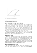 [해외시장조사론] 히팅 마스카라와 2인용 포대기 해외시장 진출 전략 분석-10