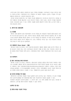 [해외시장조사론] 히팅 마스카라와 2인용 포대기 해외시장 진출 전략 분석-11