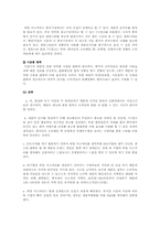 [해외시장조사론] 히팅 마스카라와 2인용 포대기 해외시장 진출 전략 분석-12