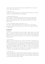 [해외시장조사론] 히팅 마스카라와 2인용 포대기 해외시장 진출 전략 분석-19
