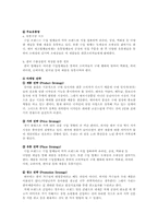 [해외시장조사론] 히팅 마스카라와 2인용 포대기 해외시장 진출 전략 분석-20