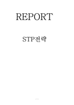 [무역창업과경영] STP 전략 분석-1