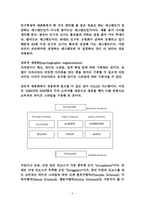 [무역창업과경영] STP 전략 분석-6