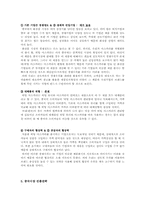 [해외시장조사론] 히팅 마스카라의 해외시장 진출 전략 분석-11