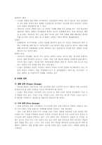 [해외시장조사론] 2인용 포대기 해외시장 진출 전략 분석-6