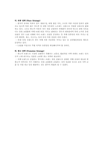 [해외시장조사론] 2인용 포대기 해외시장 진출 전략 분석-7