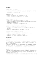 [해외시장조사론] 2인용 포대기 해외시장 진출 전략 분석-9