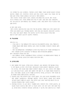 [해외시장조사론] 2인용 포대기 해외시장 진출 전략 분석-10