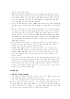 [해외시장조사론] 2인용 포대기 해외시장 진출 전략 분석-11