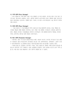[해외시장조사론] 2인용 포대기 해외시장 진출 전략 분석-12
