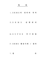 [조직행동론] SK Management System(SK의 조직관리 시스템) 분석-2
