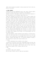 [마케팅] 맥도날드의 기업분석과 마케팅 전략-5