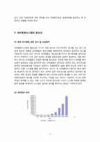 [경영정보시스템] 내부 통제 시스템의 도입과 효율적 활용에 관한 분석-6
