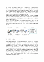 [경영정보시스템] 내부 통제 시스템의 도입과 효율적 활용에 관한 분석-8