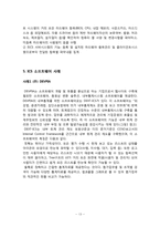 [경영정보시스템] 내부 통제 시스템의 도입과 효율적 활용에 관한 분석-13