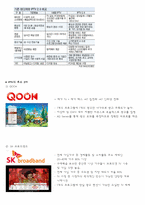 [통계처리입문] IPTV의 현황과 발전방향-3