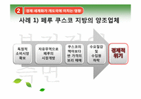 [국제정치경제] 세계화와 개도국의 경제발전-15