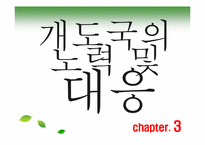 [국제정치경제] 세계화와 개도국의 경제발전-17
