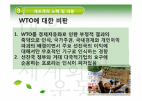 [국제정치경제] 세계화와 개도국의 경제발전-20