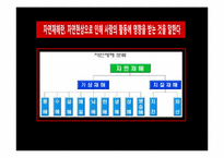 [보험리스크] 자연재해 리스크와 자연재해 재무관리-4