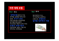 [보험리스크] 자연재해 리스크와 자연재해 재무관리-8