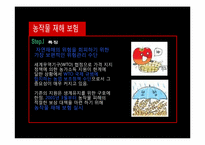 [보험리스크] 자연재해 리스크와 자연재해 재무관리-13