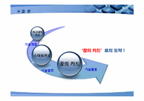 [경영정보시스템] 스마트카드 기술활용의 미래-15