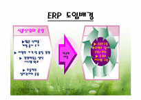 빙그레 ERP도입 성공 사례-6
