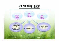 빙그레 ERP도입 성공 사례-7
