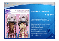 [비즈니스프로젝트] 지산리조트 고객유치 전략(애완동물 시장 증가에따른 동물 편의시설 확충안 중심)-13