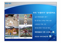 [비즈니스프로젝트] 지산리조트 고객유치 전략(애완동물 시장 증가에따른 동물 편의시설 확충안 중심)-18