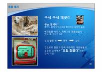 [비즈니스프로젝트] 지산리조트 고객유치 전략(애완동물 시장 증가에따른 동물 편의시설 확충안 중심)-19