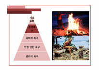 [조직행동론] 동기부여(내용이론)-12