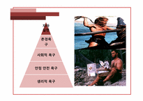 [조직행동론] 동기부여(내용이론)-13