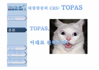 [이비즈니스] 대한항공 TOPAS에 대한 제안서-19
