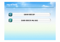 [해외시장조사론] 히팅 마스카라와 2인용 포대기 해외시장 진출 전략 분석-3