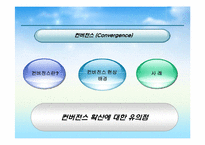 [해외시장조사론] 히팅 마스카라와 2인용 포대기 해외시장 진출 전략 분석-7