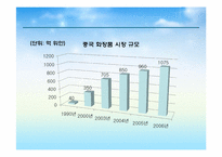 [해외시장조사론] 히팅 마스카라와 2인용 포대기 해외시장 진출 전략 분석-16