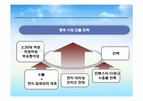 [해외시장조사론] 히팅 마스카라와 2인용 포대기 해외시장 진출 전략 분석-19