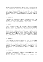 [대중문화와소비] 광고가 우리에게 주는 소비조장실태와 건전한 소비문화를 위한 연구-5
